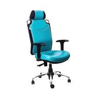 D-818-T Director Chair